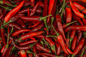 Menuisier Cayenne